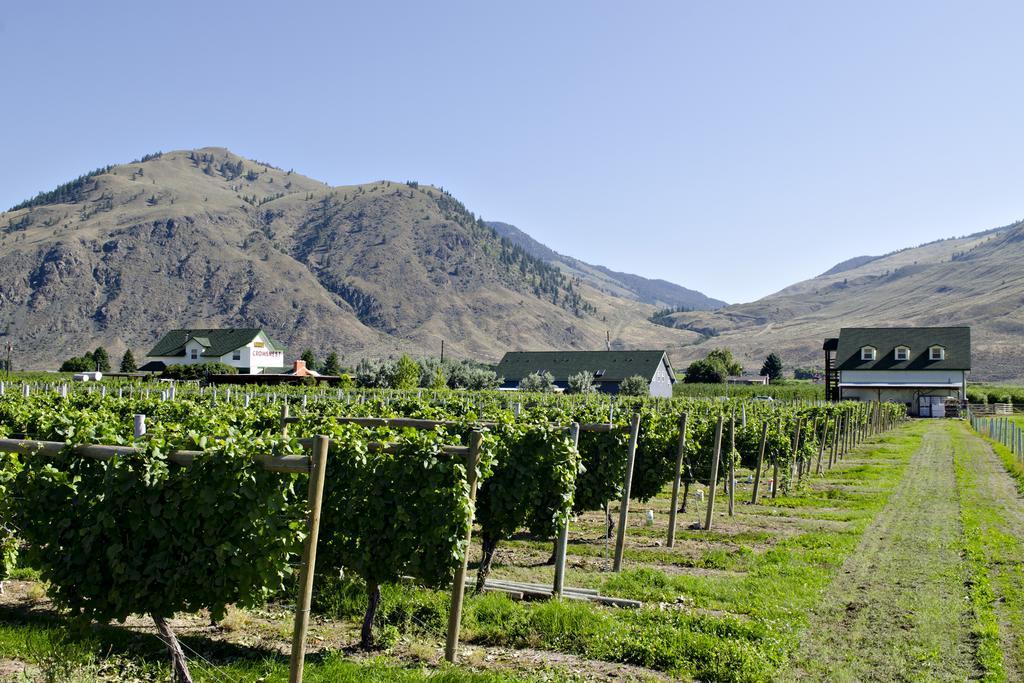 Crowsnest Vineyards Guesthouse Keremeos Экстерьер фото