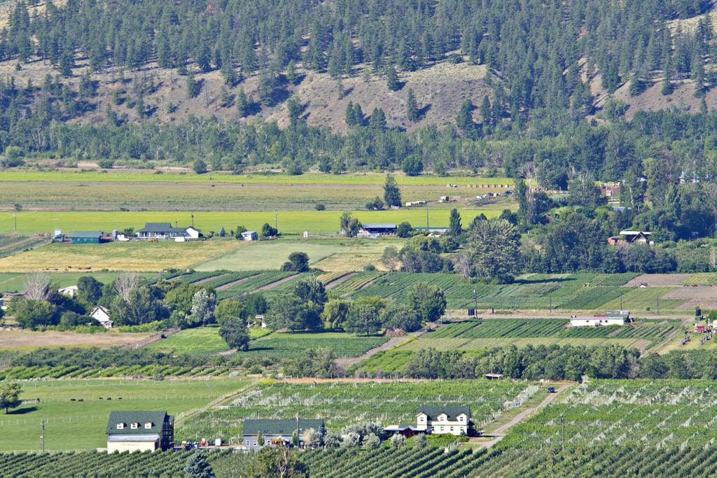 Crowsnest Vineyards Guesthouse Keremeos Экстерьер фото