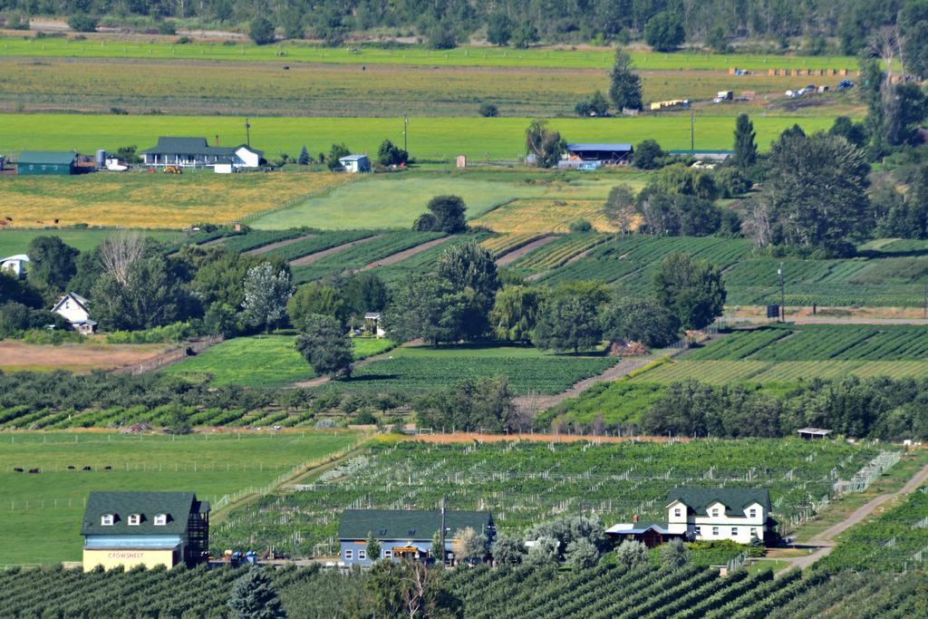 Crowsnest Vineyards Guesthouse Keremeos Экстерьер фото