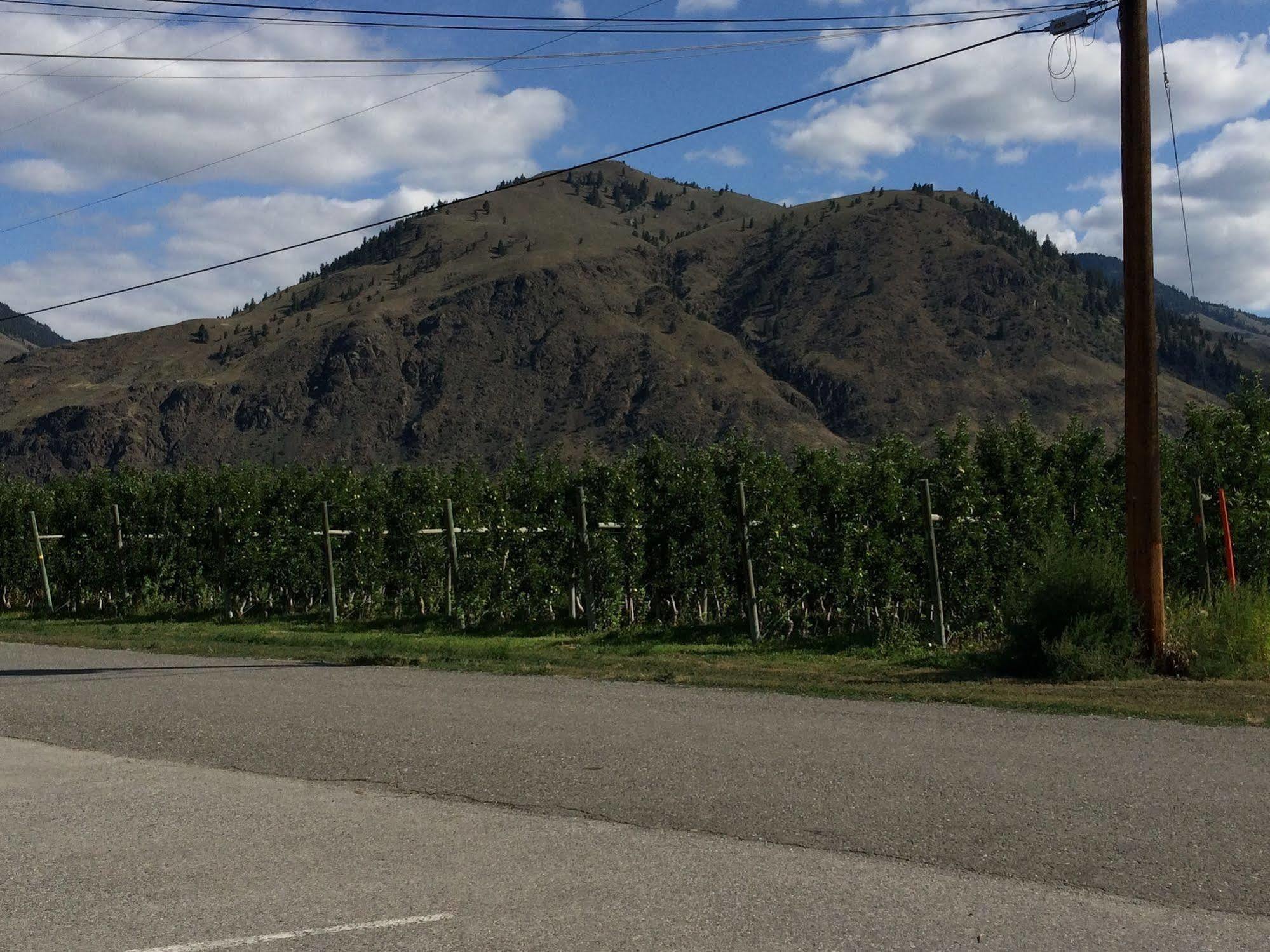 Crowsnest Vineyards Guesthouse Keremeos Экстерьер фото